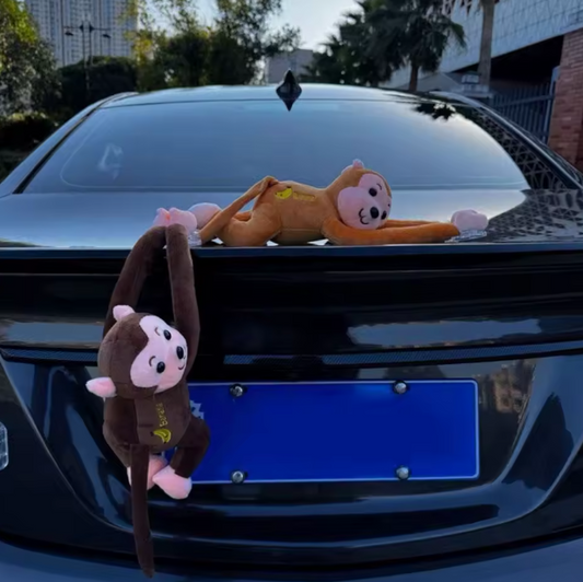 Affe auf dem Auto